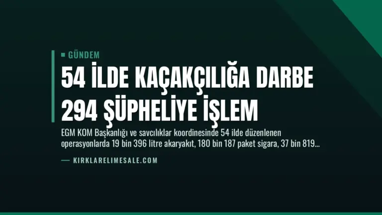 54 İlde Kaçakçılığa Darbe 294 Şüpheliye İşlem
