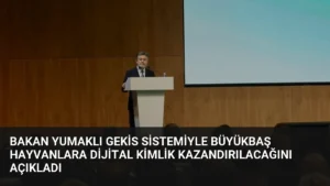 Bakan Yumaklı Gekis Sistemiyle Büyükbaş Hayvanlara Dijital Kimlik Kazandırılacağını Açıkladı