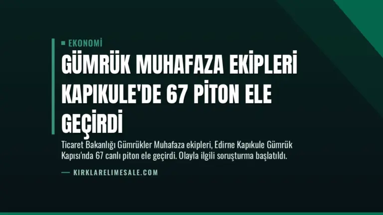 Gümrük Muhafaza Ekipleri Kapıkule’de 67 Piton Ele Geçirdi
