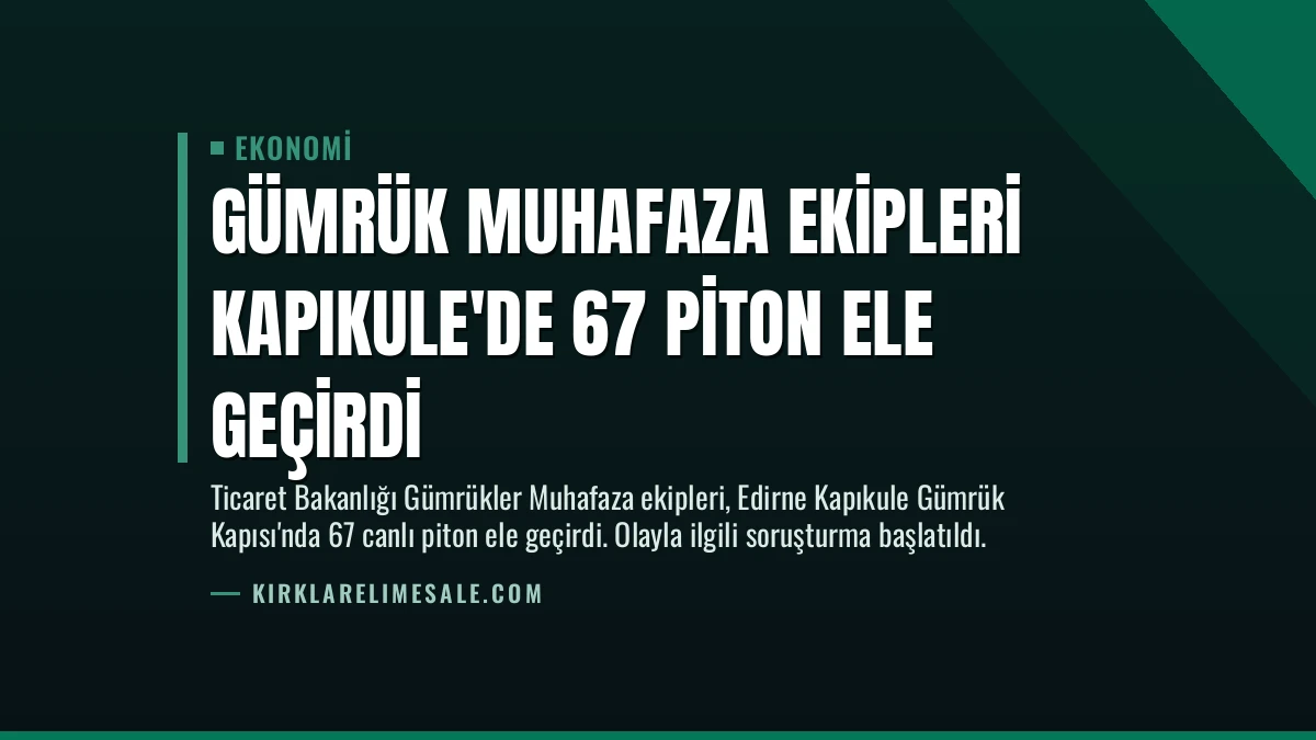 Gümrük Muhafaza Ekipleri Kapıkule’de 67 Piton Ele Geçirdi