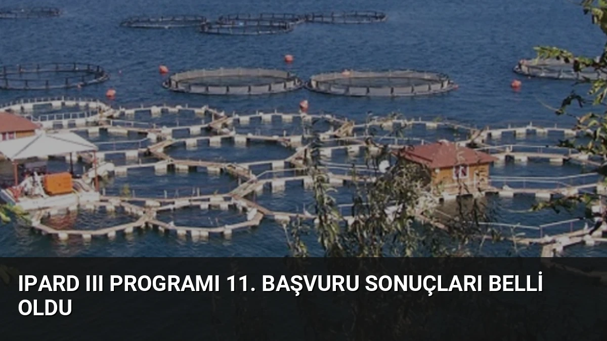 IPARD III Programı 11. Başvuru Sonuçları Belli Oldu
